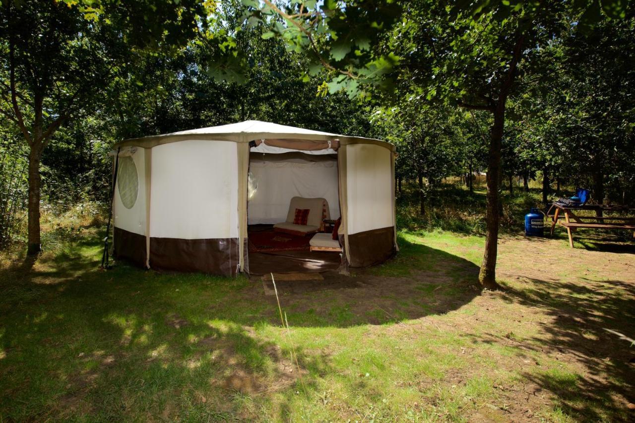 Hotel Dgg Woodland Escape South Barrow Zewnętrze zdjęcie