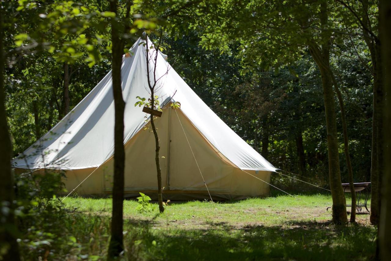 Hotel Dgg Woodland Escape South Barrow Zewnętrze zdjęcie