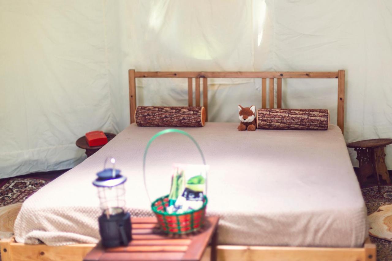 Hotel Dgg Woodland Escape South Barrow Zewnętrze zdjęcie