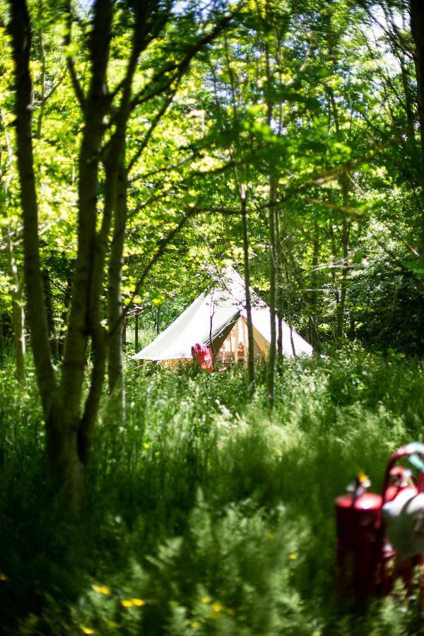Hotel Dgg Woodland Escape South Barrow Zewnętrze zdjęcie
