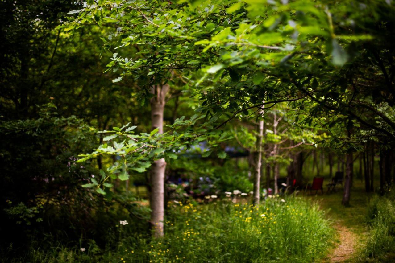 Hotel Dgg Woodland Escape South Barrow Zewnętrze zdjęcie