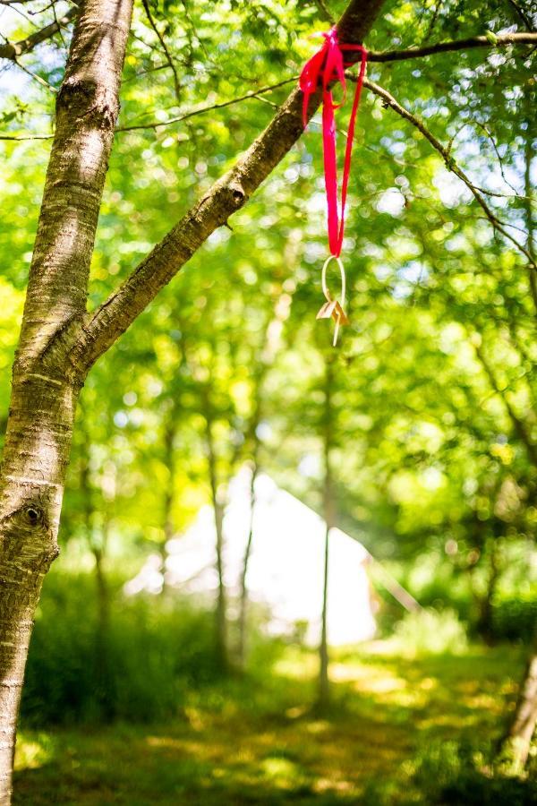 Hotel Dgg Woodland Escape South Barrow Zewnętrze zdjęcie