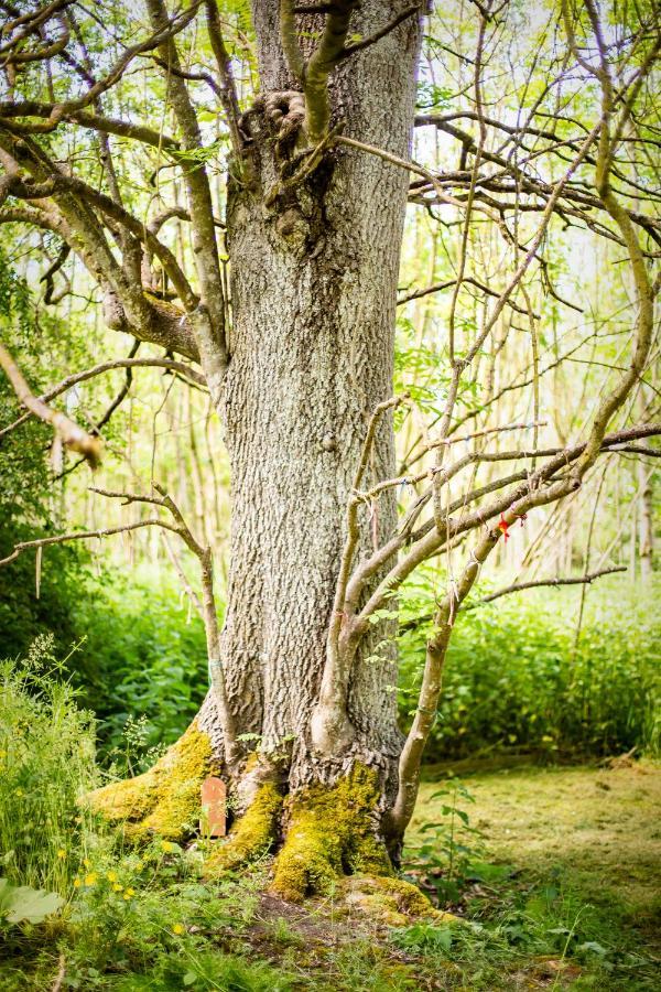 Hotel Dgg Woodland Escape South Barrow Zewnętrze zdjęcie