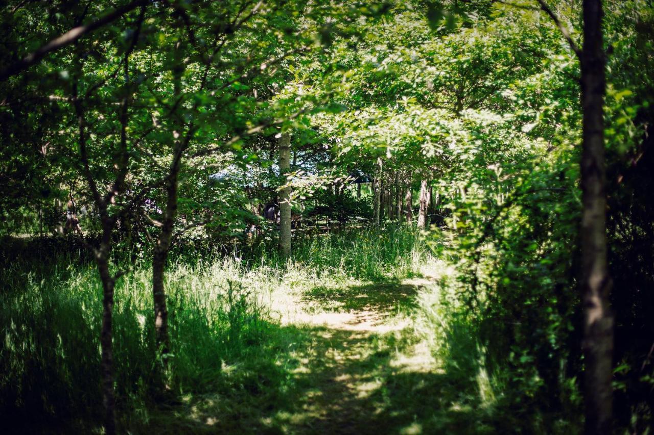 Hotel Dgg Woodland Escape South Barrow Zewnętrze zdjęcie