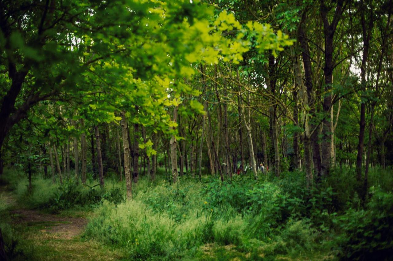 Hotel Dgg Woodland Escape South Barrow Zewnętrze zdjęcie