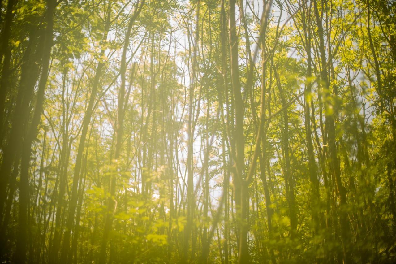 Hotel Dgg Woodland Escape South Barrow Zewnętrze zdjęcie