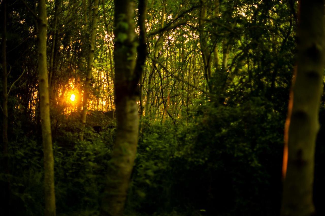 Hotel Dgg Woodland Escape South Barrow Zewnętrze zdjęcie