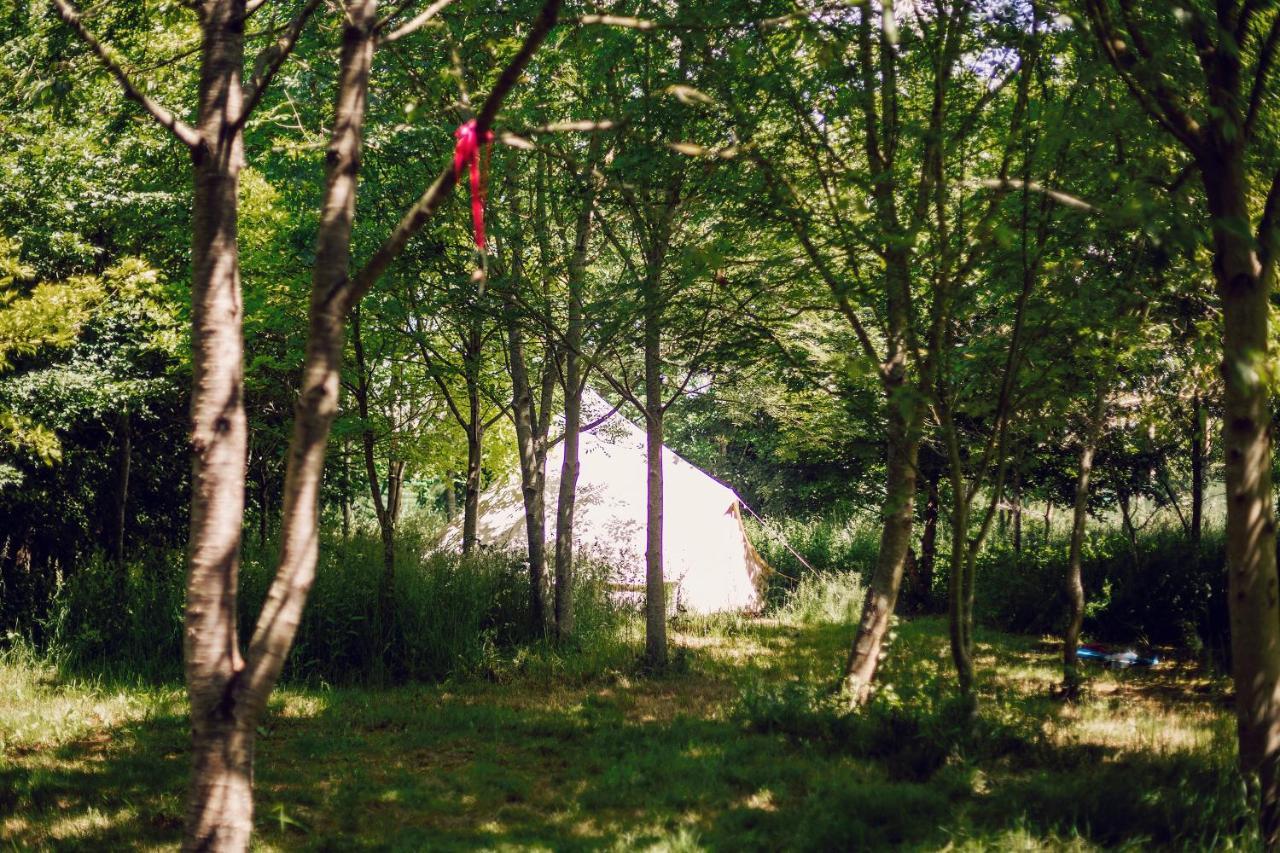 Hotel Dgg Woodland Escape South Barrow Zewnętrze zdjęcie