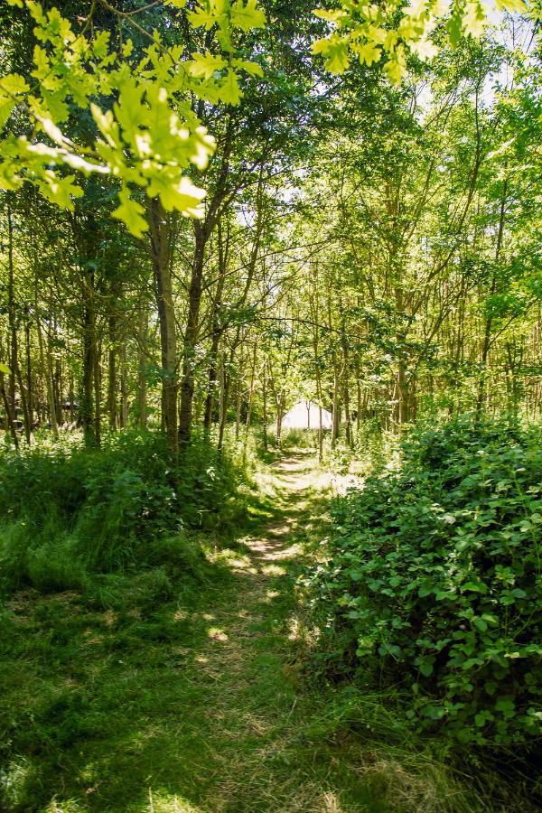 Hotel Dgg Woodland Escape South Barrow Zewnętrze zdjęcie
