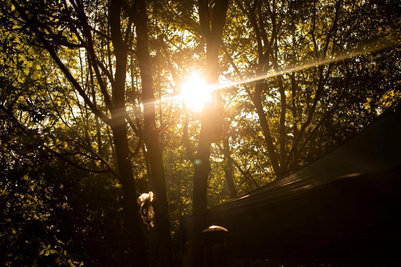 Hotel Dgg Woodland Escape South Barrow Zewnętrze zdjęcie