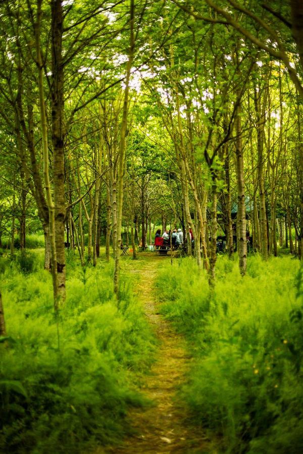 Hotel Dgg Woodland Escape South Barrow Zewnętrze zdjęcie